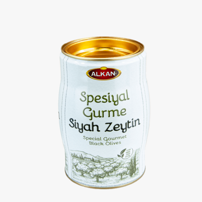 Toscana Lux Parlak Sentetik Boya