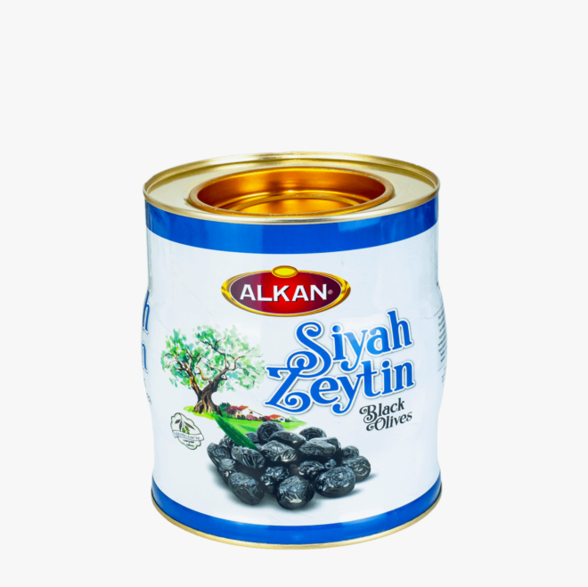 Toscana Lux Parlak Sentetik Boya