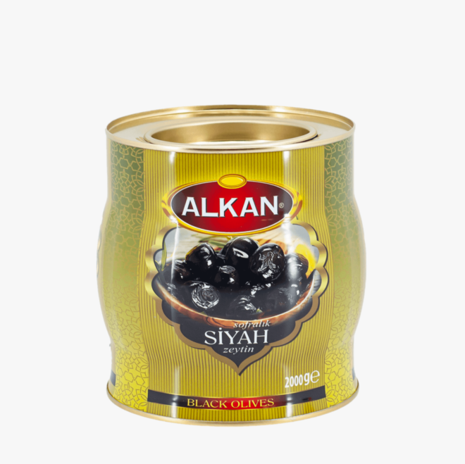 Toscana Lux Parlak Sentetik Boya