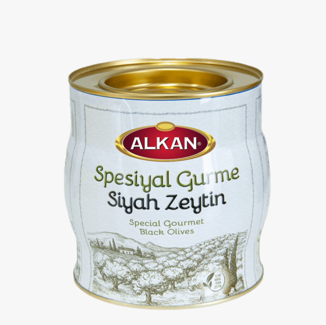 Toscana Lux Parlak Sentetik Boya